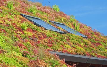 Sunny Brow living roof systems