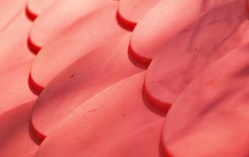 Sunny Brow plastic roof costs