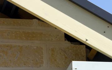 soffit repair Sunny Brow
