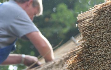 professional Sunny Brow thatchers